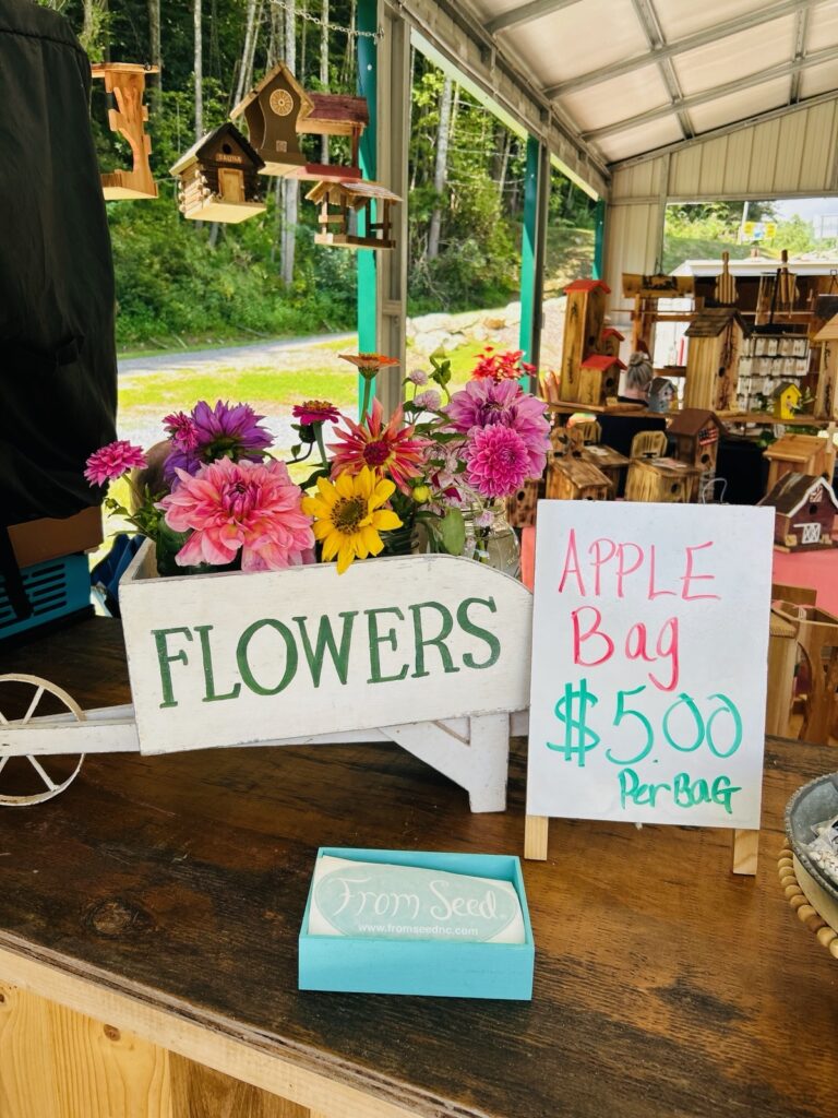 apple bag