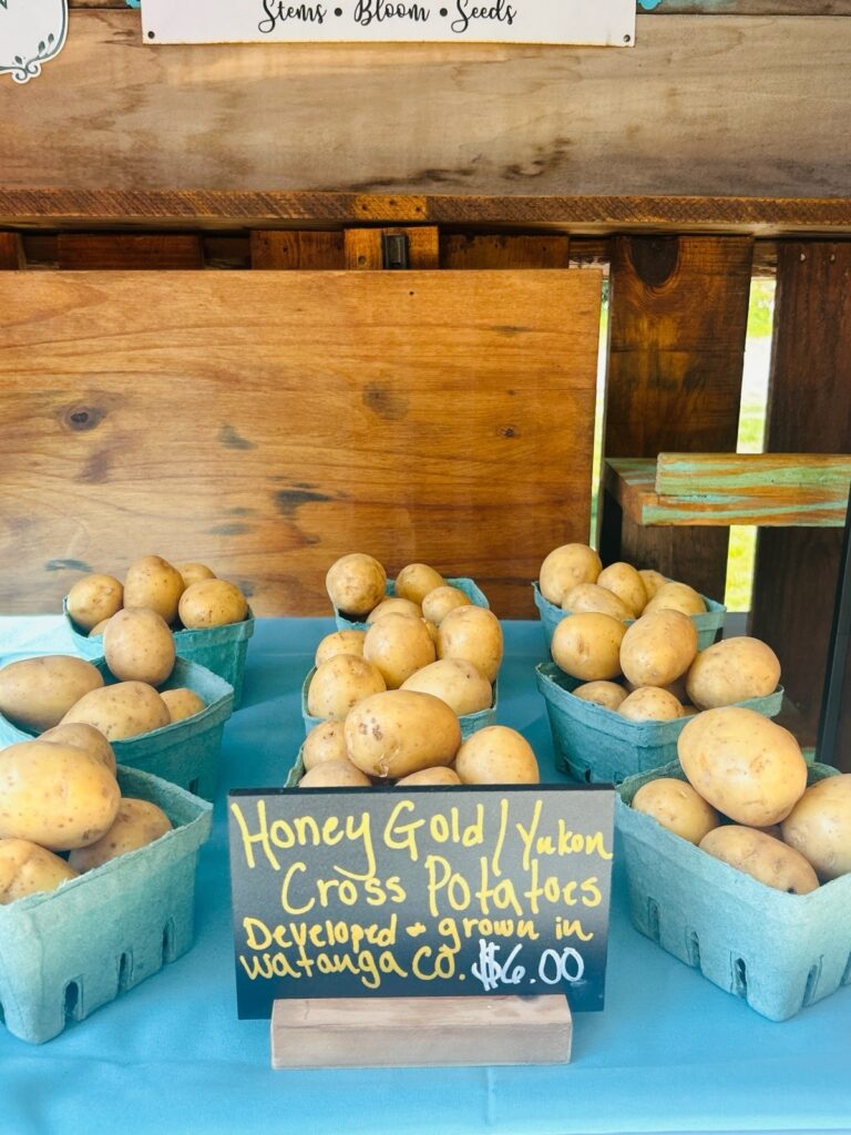 watauga county grown yukon gold potatoes