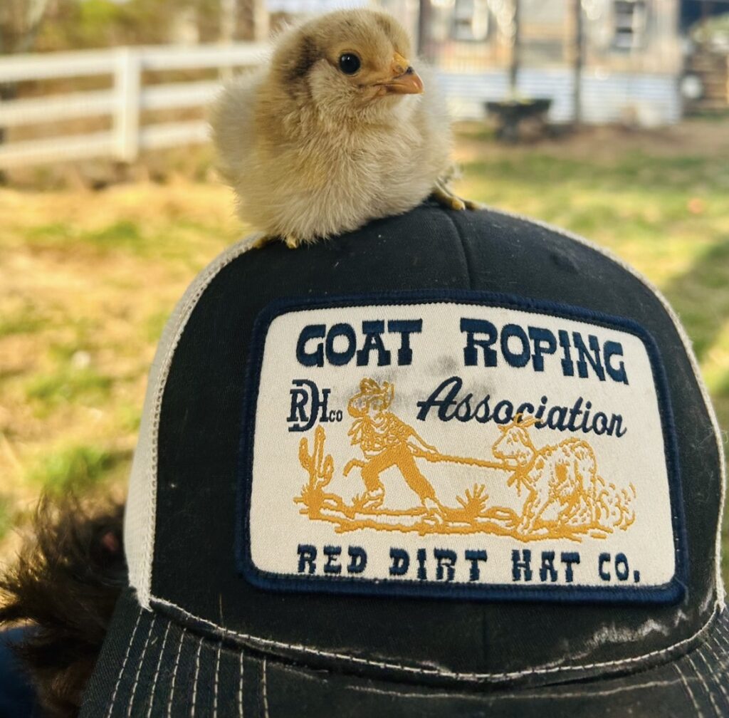 hat